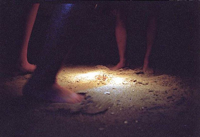 © Anri Sala, Ghosts Games, 2002 (video still)